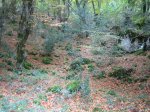 IMG_9621.JPG