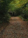 IMG_9615.JPG