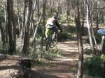 ma&#241;anita fonty 002.jpg