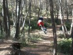 ma&#241;anita fonty 004.jpg