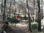 ma&#241;anita fonty 006.jpg