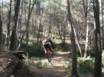 ma&#241;anita fonty 007.jpg