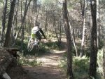 ma&#241;anita fonty 008.jpg