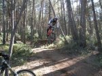 ma&#241;anita fonty 023.jpg