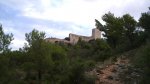 DSC00275.jpg