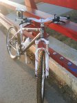DSC00003.jpg