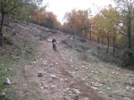 IMG_8351.jpg