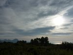 m_P1020635.jpg