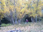 07112010165.jpg
