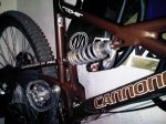 IMG00131-20100928-1129.jpg