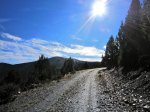 IMG_1030.jpg
