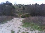 DSC00540.jpg