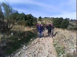 DSC00533.jpg