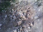 DSC00534.jpg