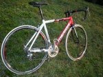 PA230093_redimensionar.JPG