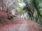 DSC00359.jpg