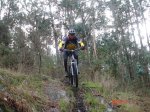 DSC00356.jpg