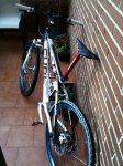 foto 4.jpg