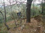 DSC00797.jpg