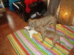 DSC00489.jpg