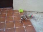 DSC00372.jpg