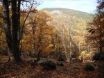IMG_5969.jpg