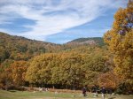 IMG_5975.jpg