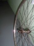 DSCN1561.jpg