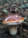 IMG_2207.jpg