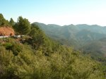 Pe&#241;aCortada (32).JPG