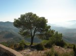 Pe&#241;aCortada (45).JPG