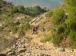 Pe&#241;aCortada (68).JPG