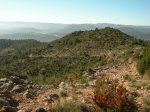 Pe&#241;aCortada (66).JPG