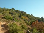 Pe&#241;aCortada (100).JPG