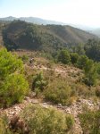 Pe&#241;aCortada (76).JPG