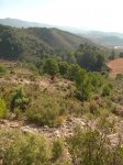 Pe&#241;aCortada (80).JPG