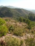 Pe&#241;aCortada (81).JPG
