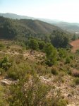 Pe&#241;aCortada (87).JPG