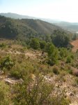 Pe&#241;aCortada (84).JPG