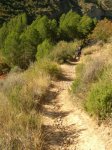 Pe&#241;aCortada (104).JPG