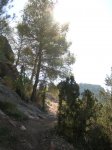 Pe&#241;aCortada (141).JPG