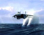 3_tomcat11280.jpg