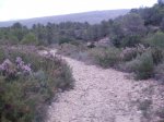 PB090039.jpg