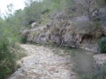 PB090048.jpg