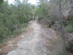 PB090053.jpg