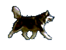 sigpic171762_1.gif