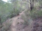 PB090017.jpg