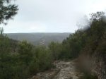 PB090056.jpg