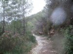 PB090047.jpg