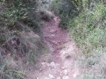 PB090023.jpg